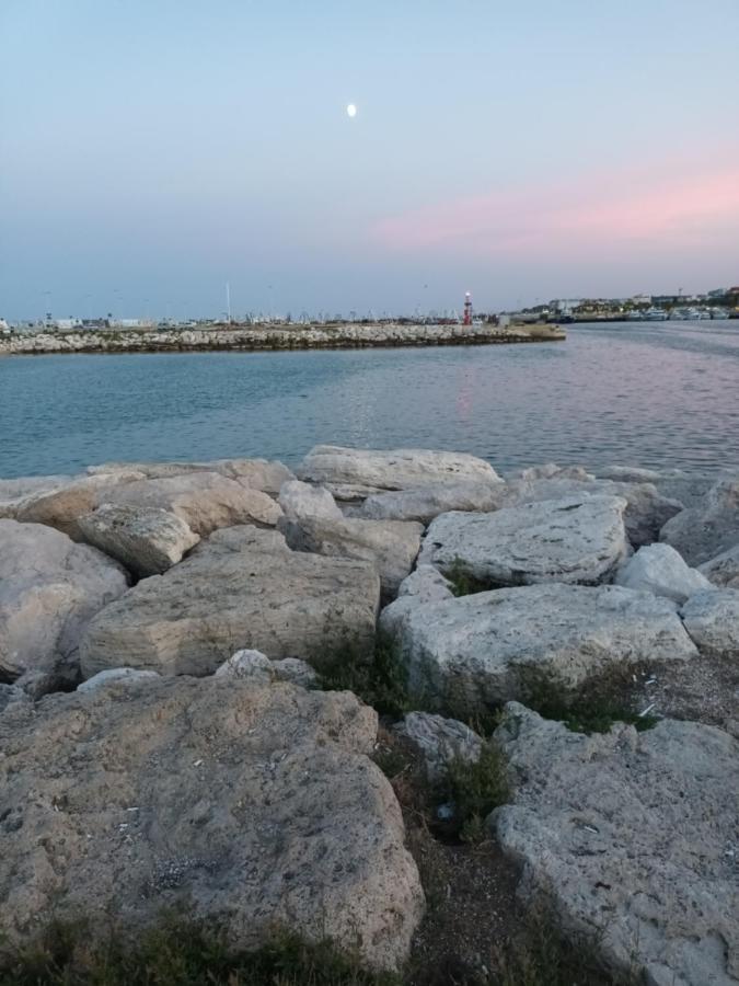 Bouganville A Apartament B&B Civitanova Marche Exterior photo